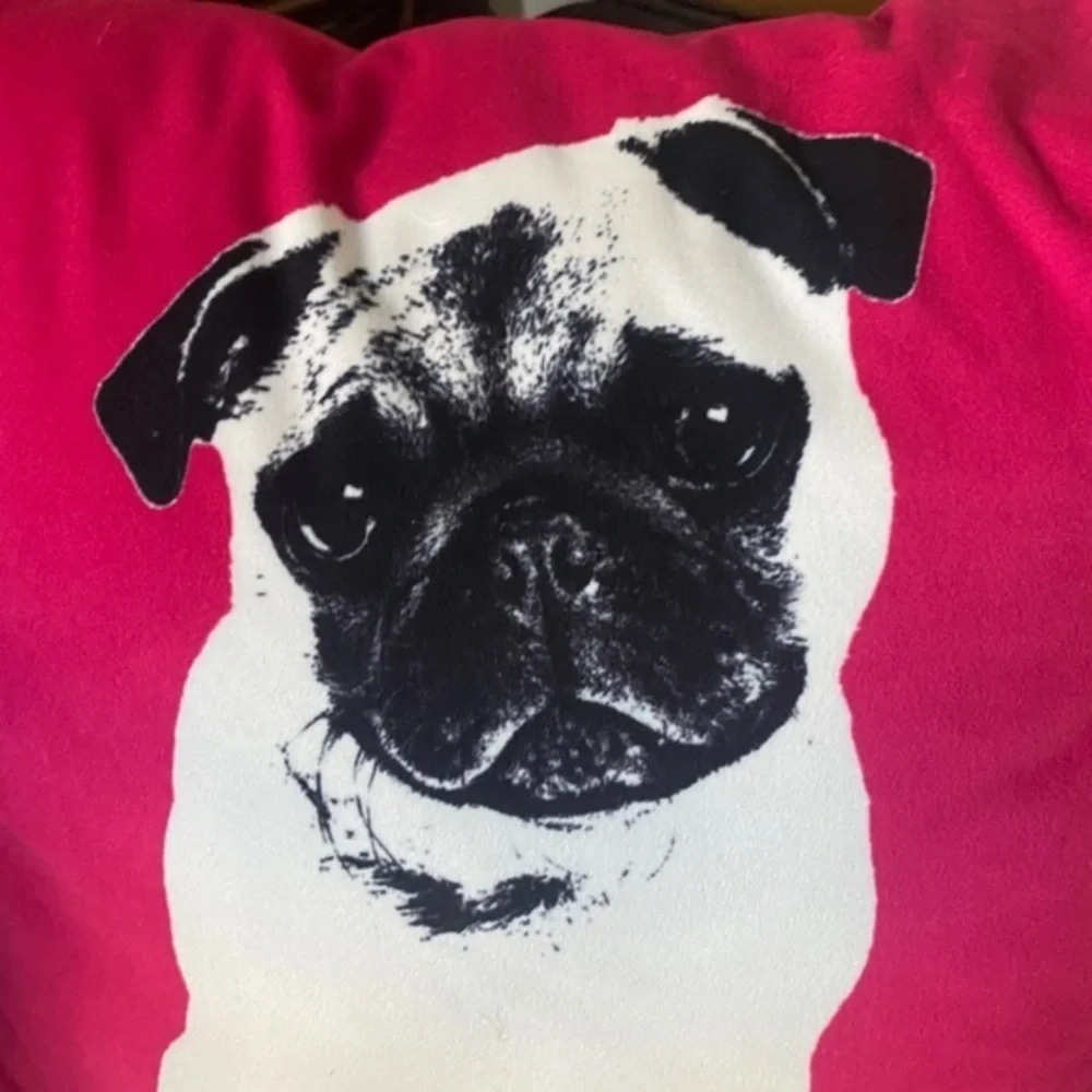 425 South Los Angeles Pink Pug Pillow - Picture 4 of 4